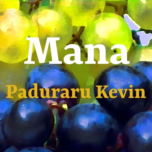 Paduraru Kevin - Mana (Workout Music) [211229WORKOUT]